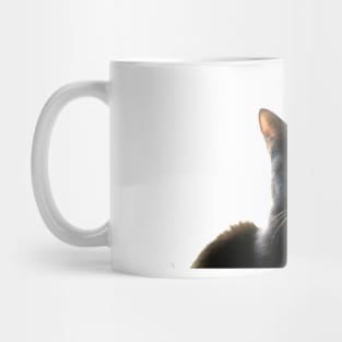 Whatcha Doin` Lil  Bear? Mug